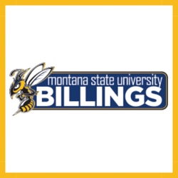 Billings CyberMT Summer Camps Logos w Frame