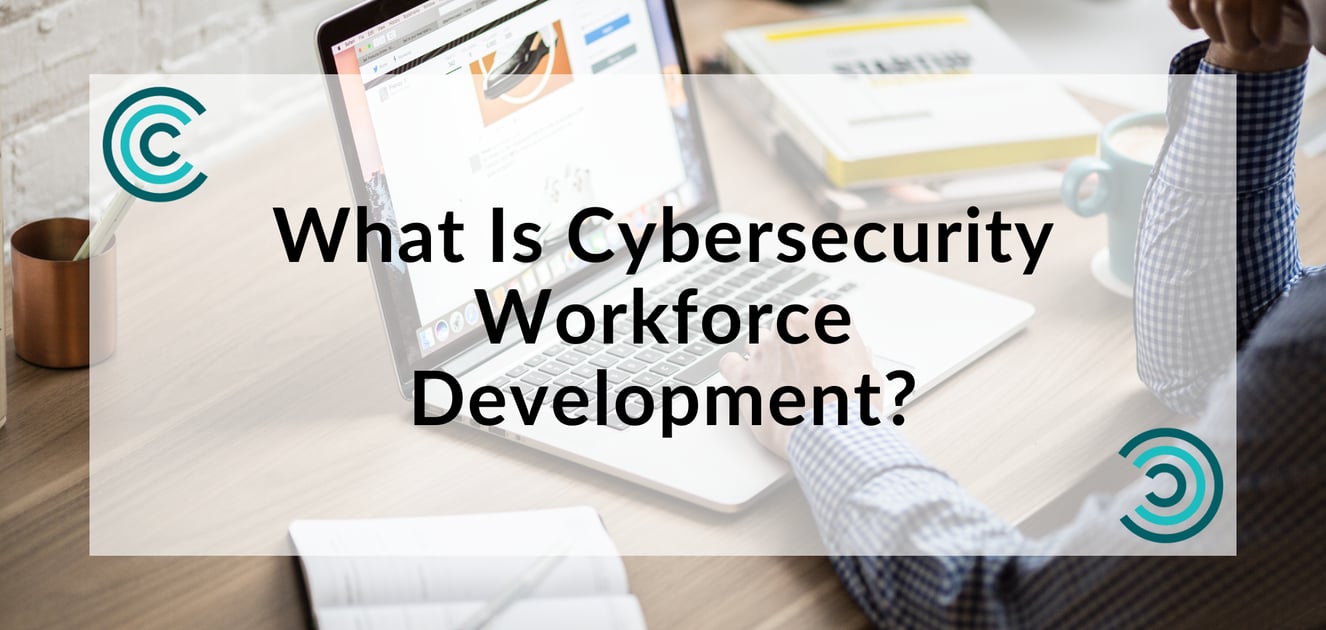 what is cybersecurity workforce development